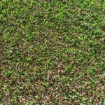 cost of brown sbr granule for soccer field