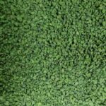 Prezzo granulo sbr verde campo da calcio