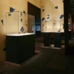 Art and Sustainability: Laténium, Noé Cotter, and Rubber Bark