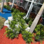 Paradis Exotique avec Paillage Décoratif en Écorce de Caoutchouc
